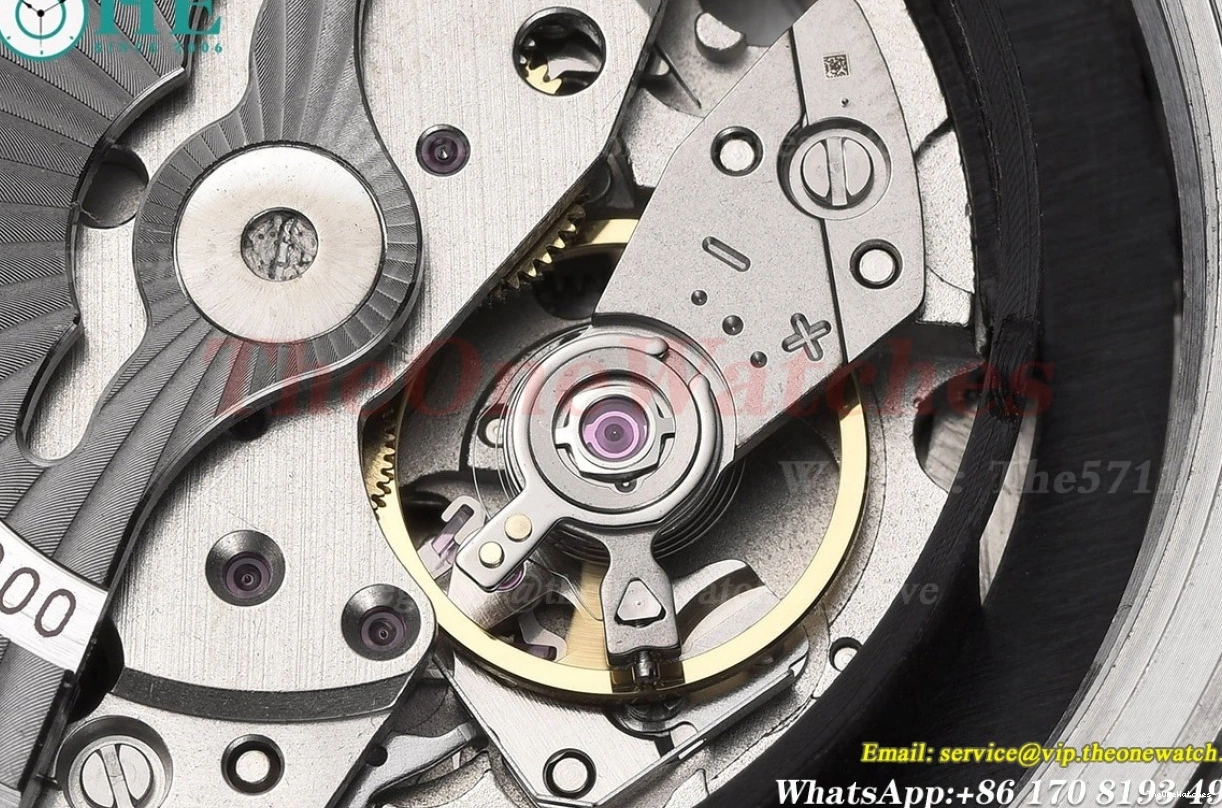 MY8215 43mm SS Dial GDF Black Seamaster 600m Oyster SS 0327